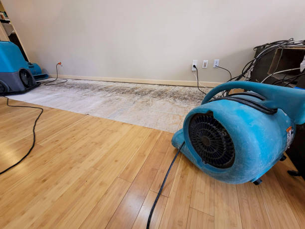 Reliable Basement Flood Cleanup contractor in Aurora, NE by Hirex Water Damage