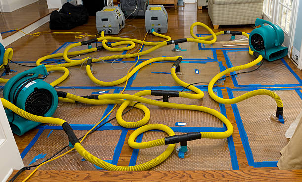 Professional Basement Flood Cleanup technician working in Aurora, NE
